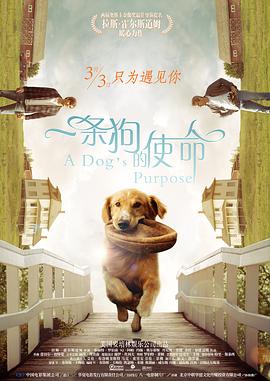 电影院的记录
