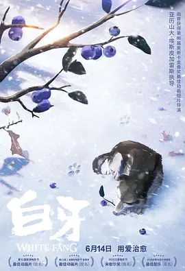 看着镜子我是怎么要你的视频