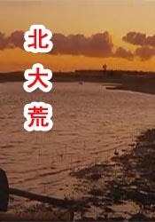 欧美一级在线