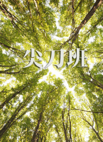 四虎永久