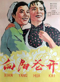 91视频播放