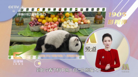 在线亚洲观看
